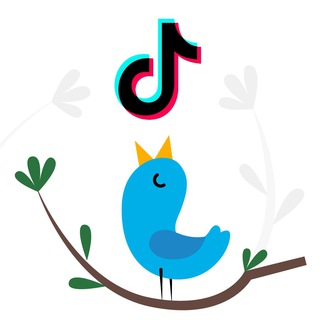 Twitter и TikTokのアイコン